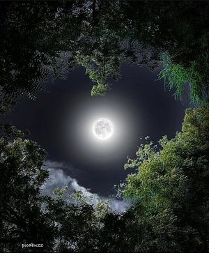 Image chosen by user