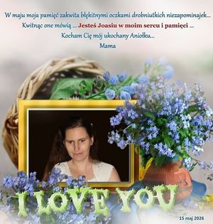 Obrazek wybrany przez użytkownika