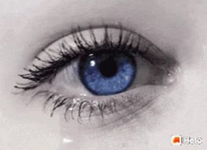Image chosen by user