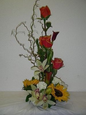 Image chosen by user