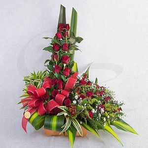 Image chosen by user