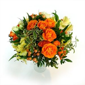 Image chosen by user