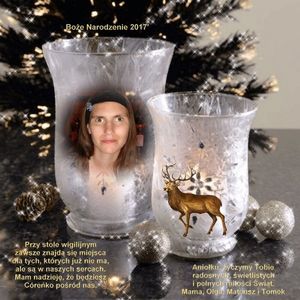Image chosen by user
