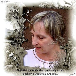 Image chosen by user