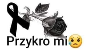 Obrazek wybrany przez użytkownika