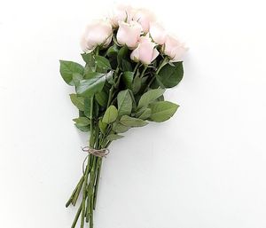 Image chosen by user