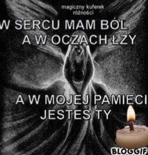 Obrazek wybrany przez użytkownika