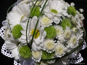 Image chosen by user