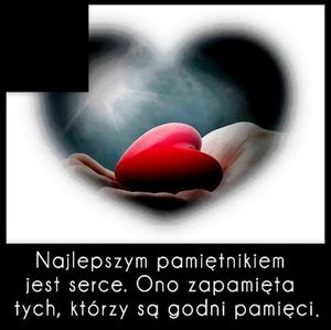 Image chosen by user