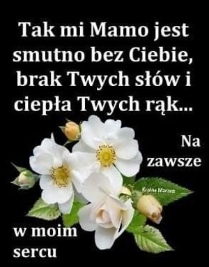 Obrazek wybrany przez użytkownika