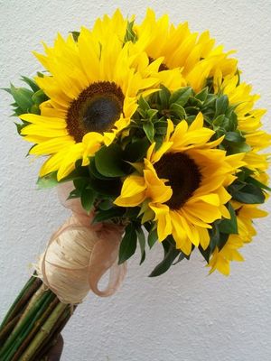 Image chosen by user