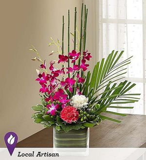 Image chosen by user