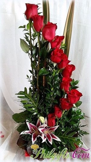 Image chosen by user