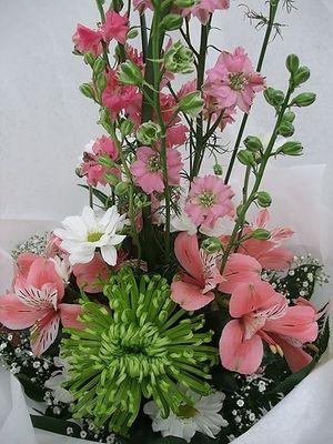 Image chosen by user