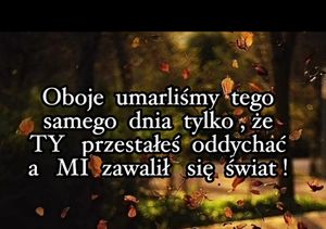 Obrazek wybrany przez użytkownika