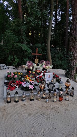 Obrazek wybrany przez użytkownika