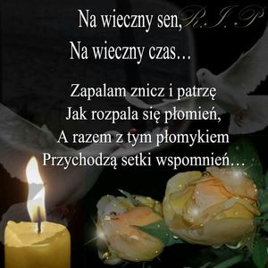 Obrazek wybrany przez użytkownika
