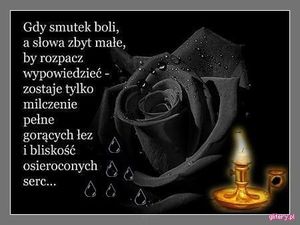 Obrazek wybrany przez użytkownika