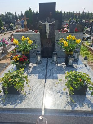 Obrazek wybrany przez użytkownika