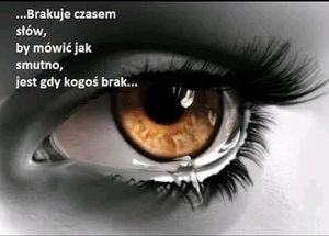 Obrazek wybrany przez użytkownika