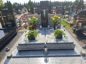 Obrazek wybrany przez użytkownika
