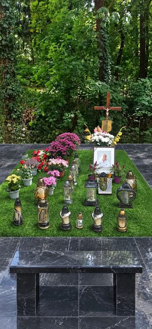 Obrazek wybrany przez użytkownika