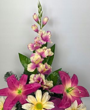 Image chosen by user