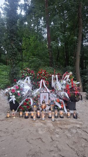 Obrazek wybrany przez użytkownika