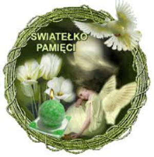 Image chosen by user
