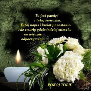 Obrazek wybrany przez użytkownika