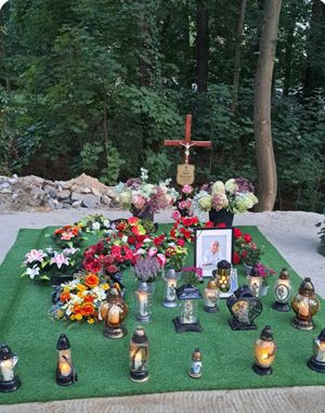 Obrazek wybrany przez użytkownika