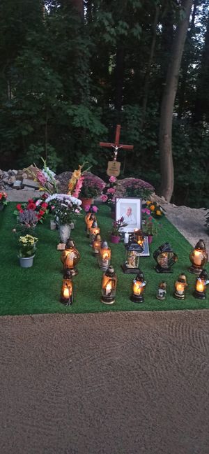 Obrazek wybrany przez użytkownika