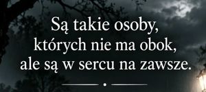 Obrazek wybrany przez użytkownika