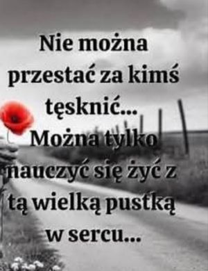 Obrazek wybrany przez użytkownika