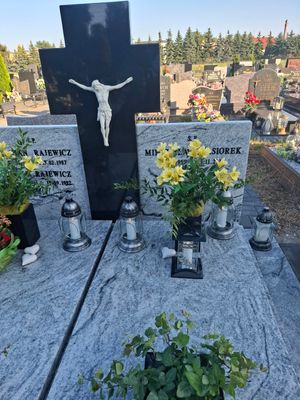 Obrazek wybrany przez użytkownika