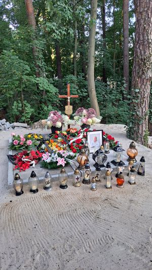 Obrazek wybrany przez użytkownika