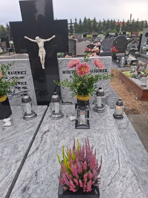 Obrazek wybrany przez użytkownika