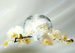 Image chosen by user