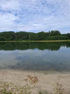 Obrazek wybrany przez użytkownika