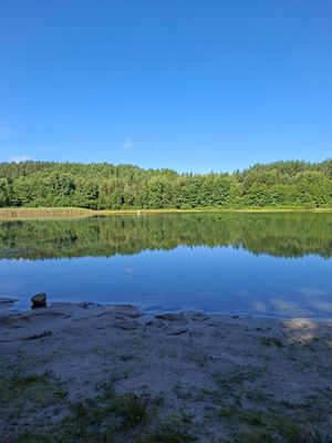 Obrazek wybrany przez użytkownika