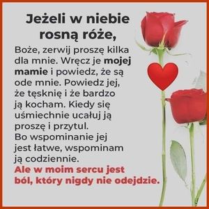 Obrazek wybrany przez użytkownika