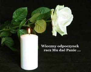 Image chosen by user