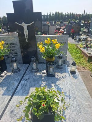 Obrazek wybrany przez użytkownika