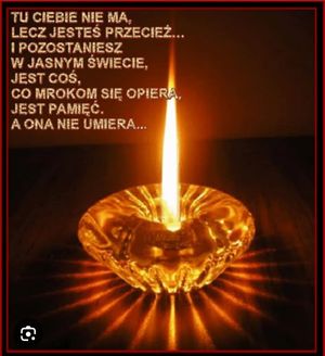 Obrazek wybrany przez użytkownika