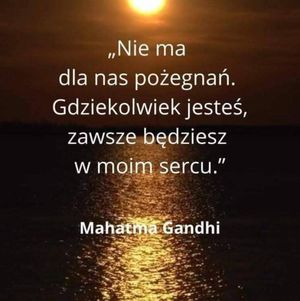 Obrazek wybrany przez użytkownika