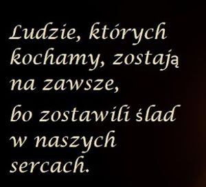 Obrazek wybrany przez użytkownika