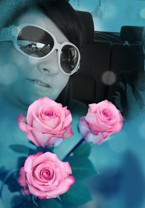 Image chosen by user