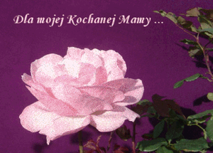 Image chosen by user