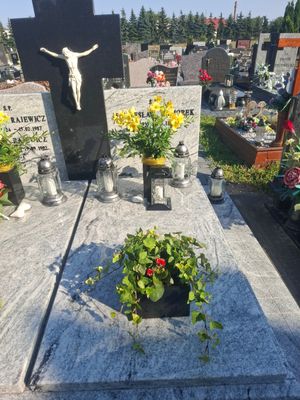 Obrazek wybrany przez użytkownika
