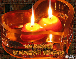 Obrazek wybrany przez użytkownika